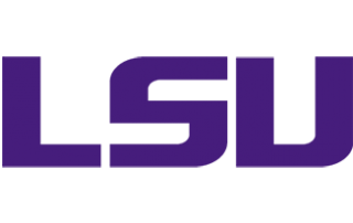 Icon - LSU